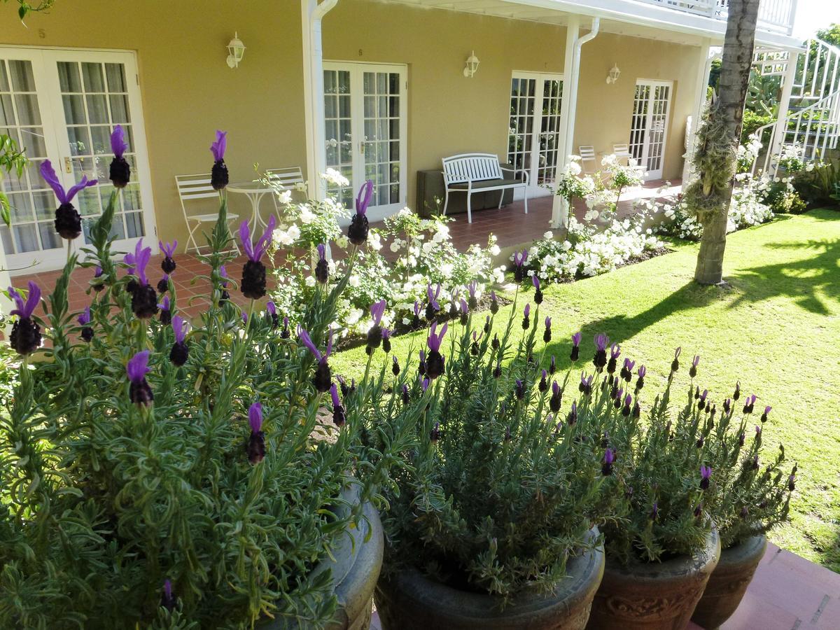 @Yamkela Guest House Oudtshoorn Exteriér fotografie